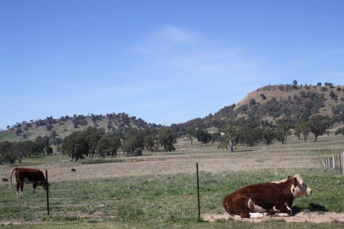 12 High Vista Court, Mansfield
