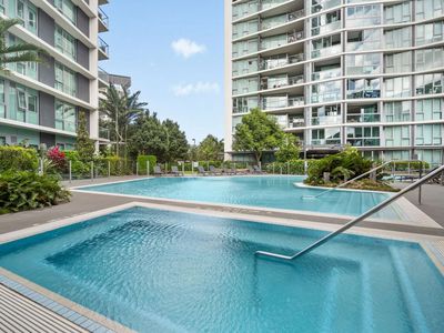 20606 / 8 Hercules Street, Hamilton