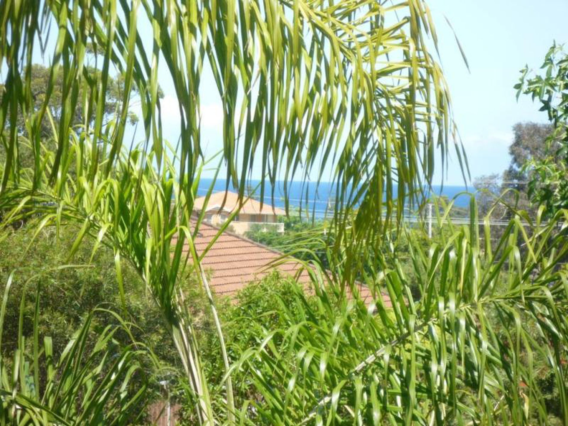 22 Clyde Street, Mollymook