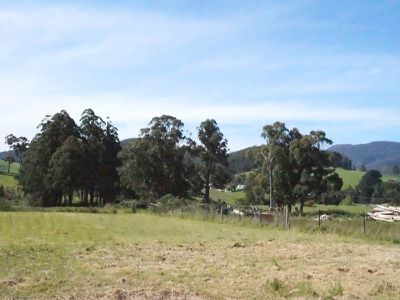 2 Deveraux Court, Cygnet
