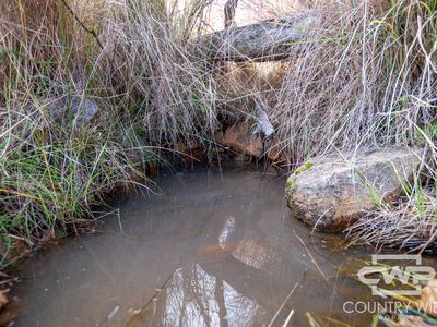 841 Gunyah Road, Tenterfield