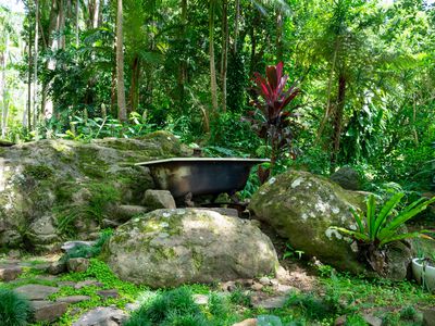 771 Left Bank Road, Mullumbimby Creek