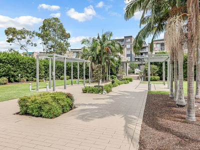 I103 / 81-86 Courallie Avenue, Homebush West