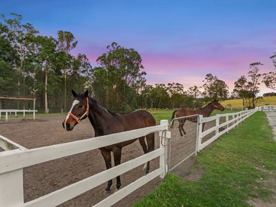 2017 THE LAKES WAY, Rainbow Flat