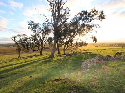 40 Gibb Road, Toolleen