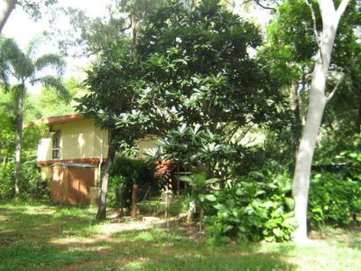 154 Endeavour Valley Road, Cooktown