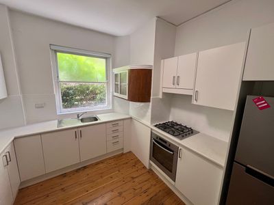 2 / 15 Penkivil Street, Bondi