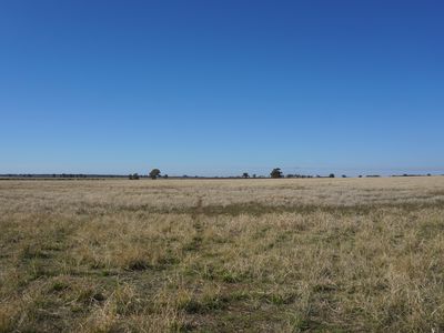 'Durringle' 104 Pfeiffers Lane, West Wyalong