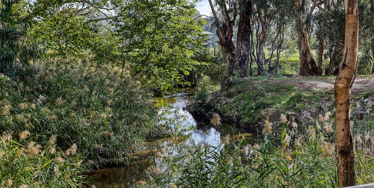 3 Tucknotts Lane, Euroa