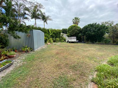 45 Ibis Boulevard, Eli Waters