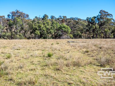 Lot 12, 212 Mole Station Road, Tenterfield