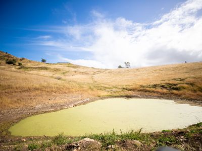 43 Berlin Road, Mount Berryman