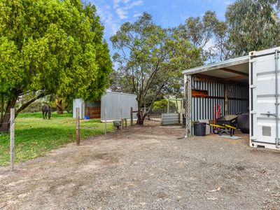 183 Williams Road, Millicent