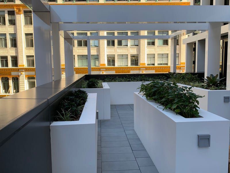 3003 / 130 Elizabeth Street, Sydney