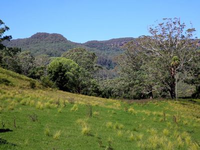 24 Treefern Road, Kangaroo Valley
