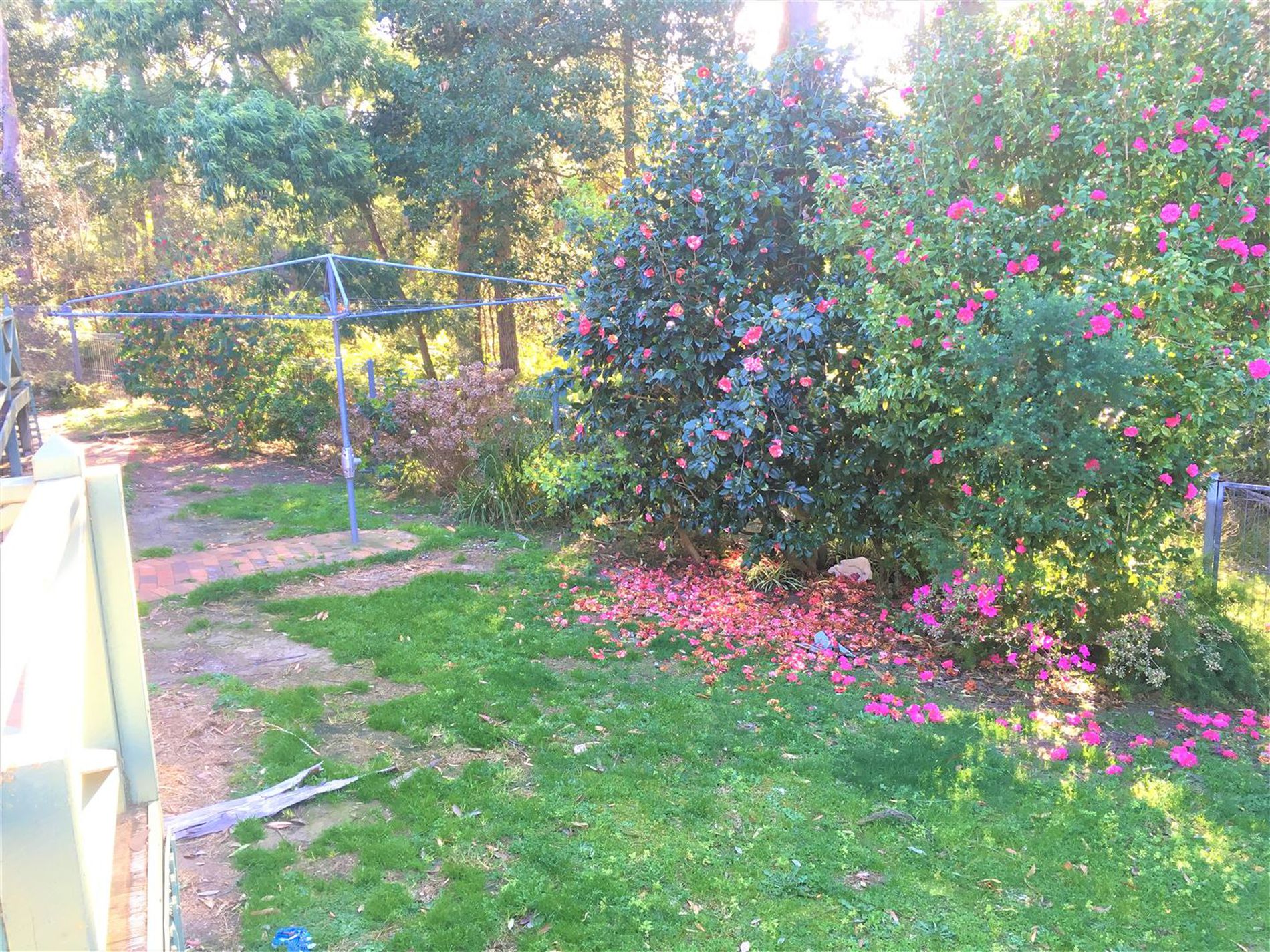 19A Cassia Place, Ulladulla