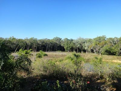 132 Percy Road, Oakey Creek, Cooktown