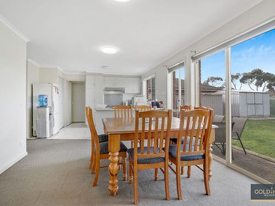 19 Buckhurst Way, Hoppers Crossing