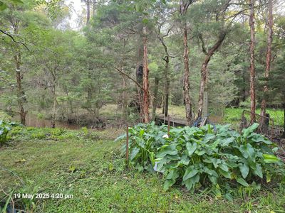 151 Inglewood Crescent, Tomerong