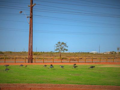 3 Barramine Loop, South Hedland