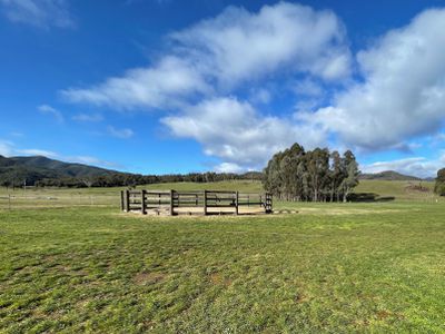 31 Cinnabar Lane, Jamieson