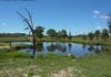 779 Lower Lewis Ponds Road, Orange
