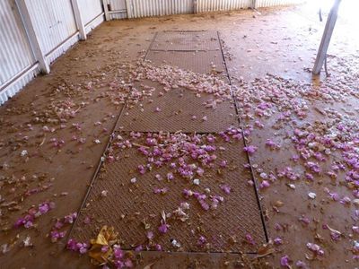 1 Yarrunga Crescent, South Hedland