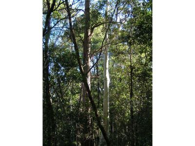 650E 650E Woodburn Road, Milton