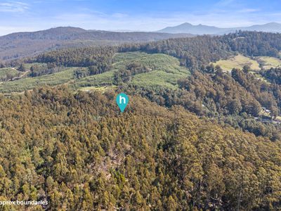 Lot 1, Huon Highway, Glendevie