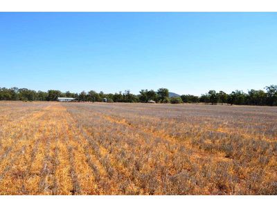 1076 Watermark Road, Curlewis