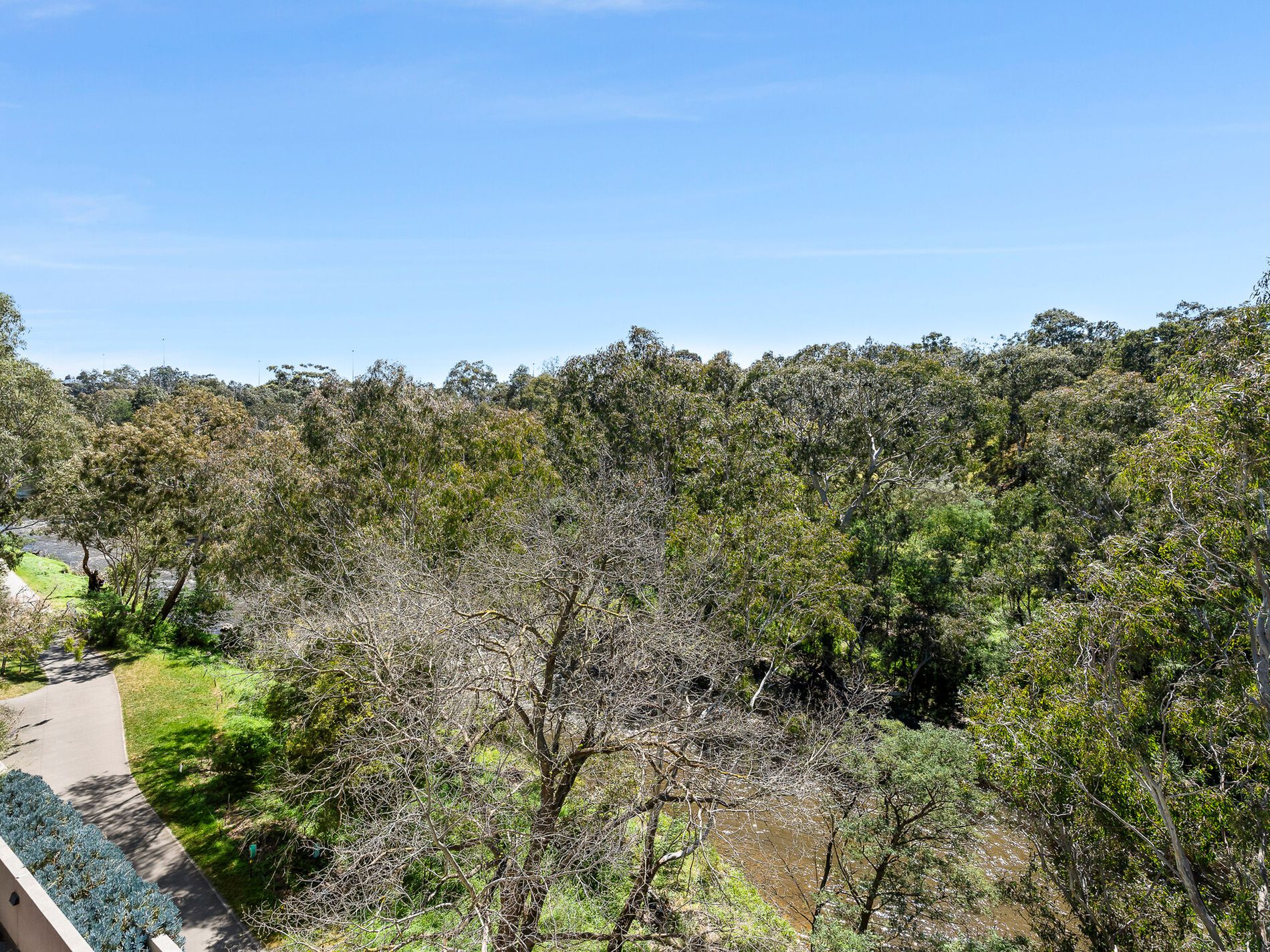 209 / 125 Turner Street, Abbotsford