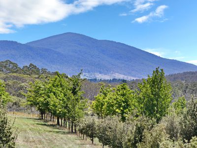 760 Wallaces Gap Road, Braidwood