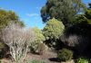 5 Murraba Close, Orange