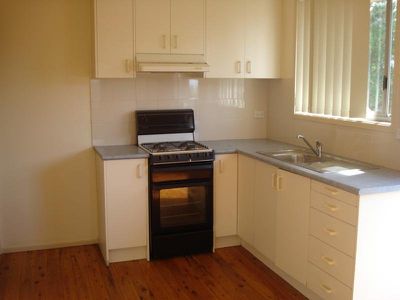 Mount Warrigal