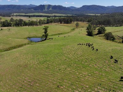 5887 Oxley Highway, Ellenborough