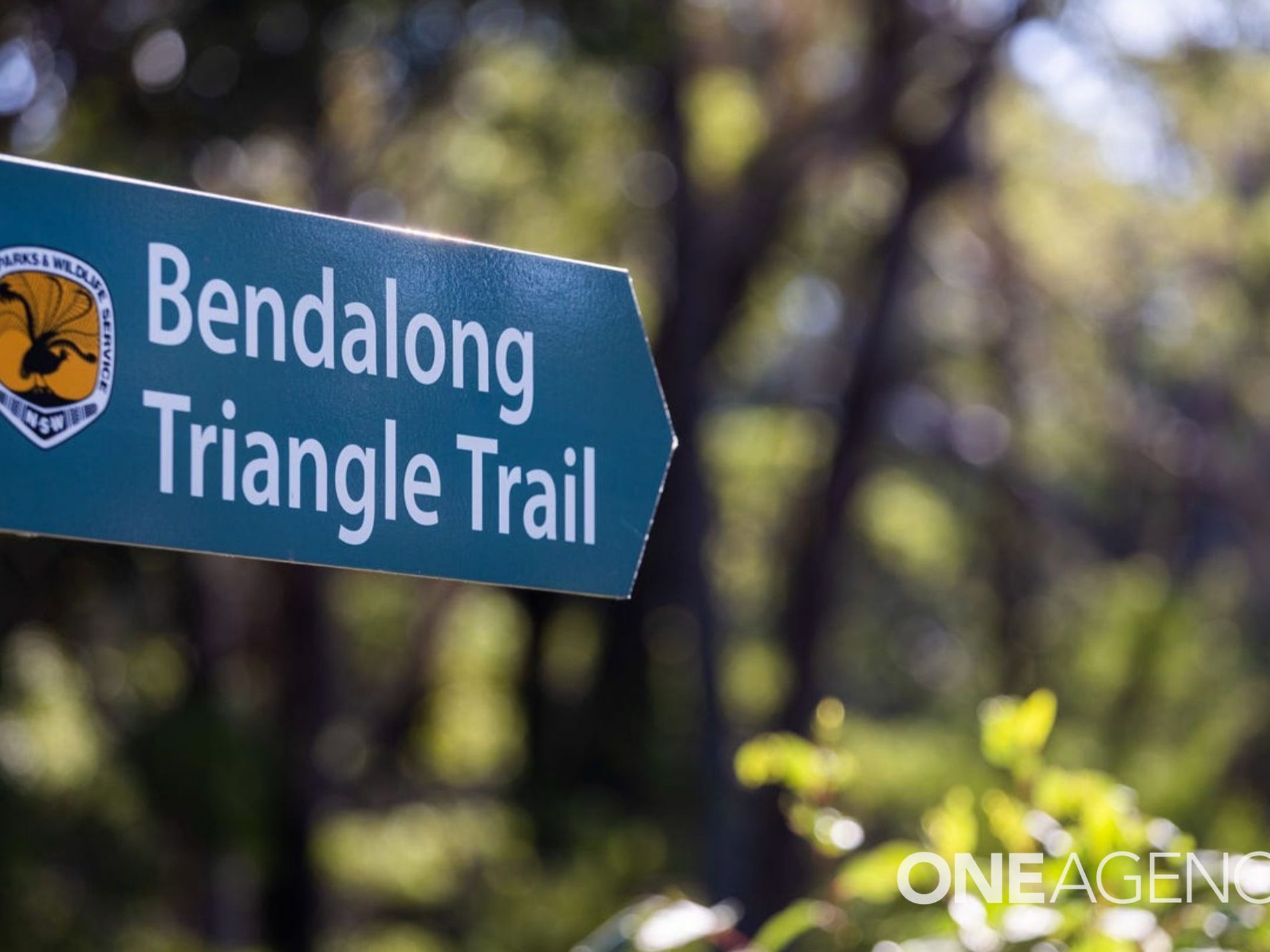 3 Pine Street, Bendalong