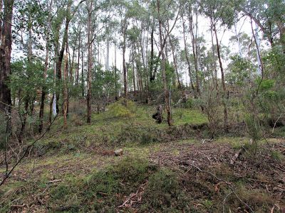 20 Christensen Street, Sawmill Settlement