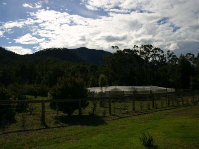 535c Jacks Corner Rd, Kangaroo Valley