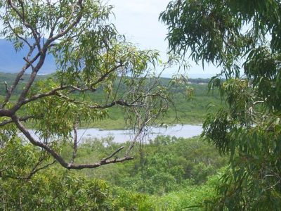 155 Endeavour Valley Road, Cooktown