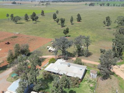 3166 Back Trundle Road, Parkes