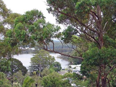 68 Canberra Crescent, Burrill Lake