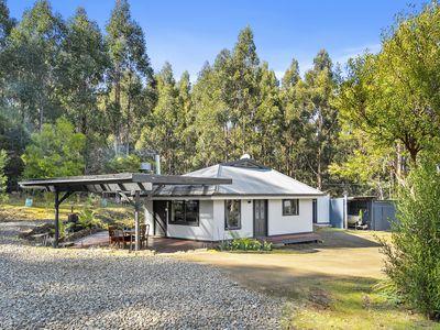 907 Halls Track Road, Pelverata