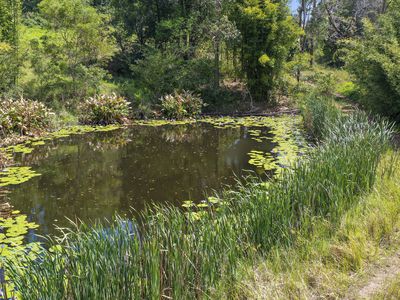 Share D5 / 1158 Pinchin Road, The Channon