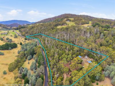 407 Wattle Grove Road, Wattle Grove