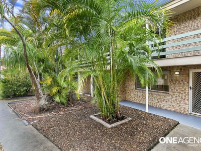 3 / 3 King Street, Urangan