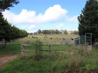 621 Jerrys Meadow Road, Tarana