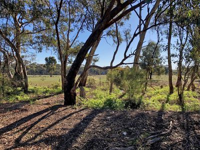 2-20 Godfrey Street, Wedderburn