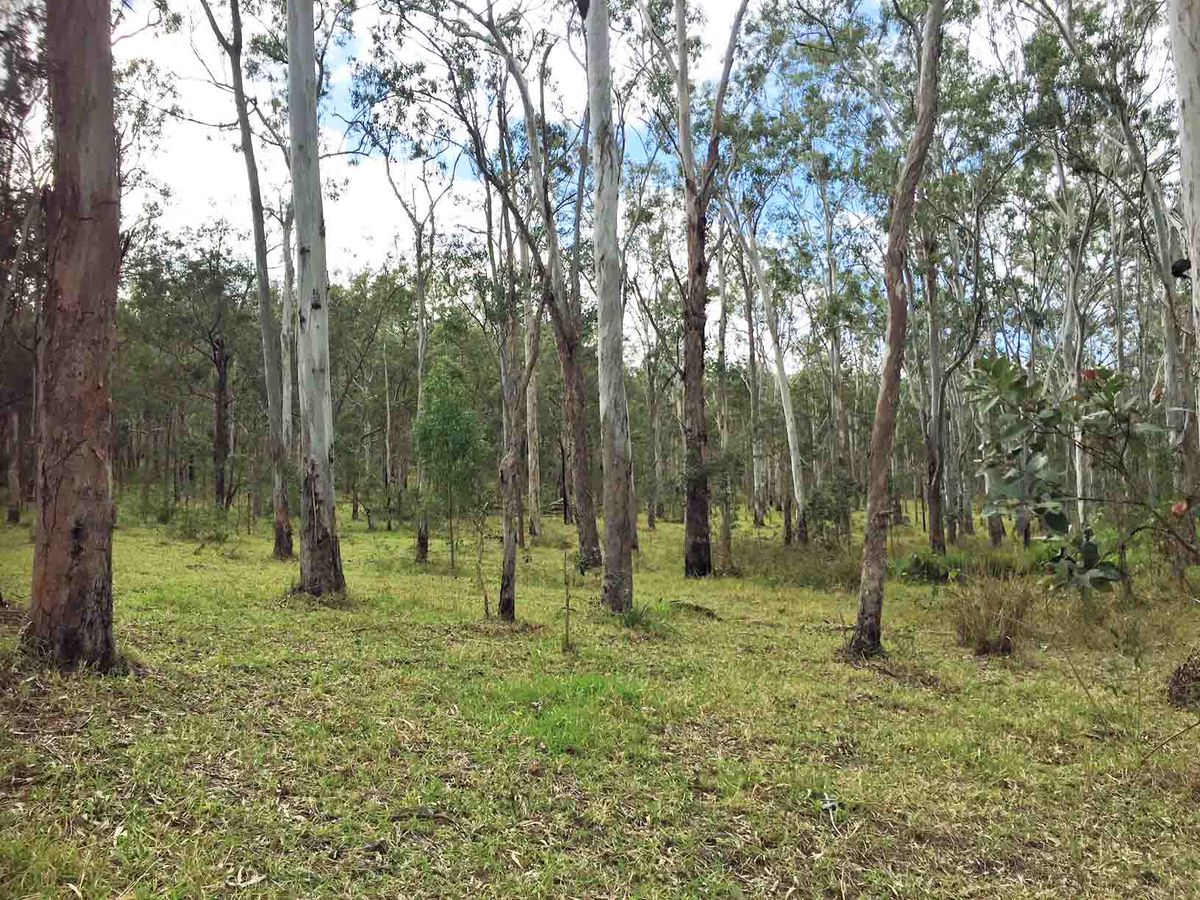 Lot 701-705, Rolley Road, Wondecla