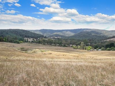 2054 Lockharts Gap Road, Tallandoon