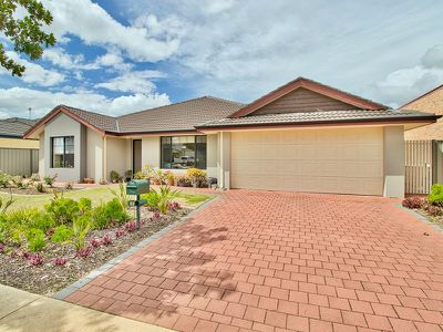 11 Curlewis Drive , Baldivis